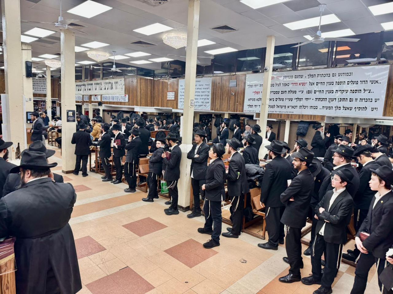 הגלריה השבועית מבית משיח: פרשת תצוה